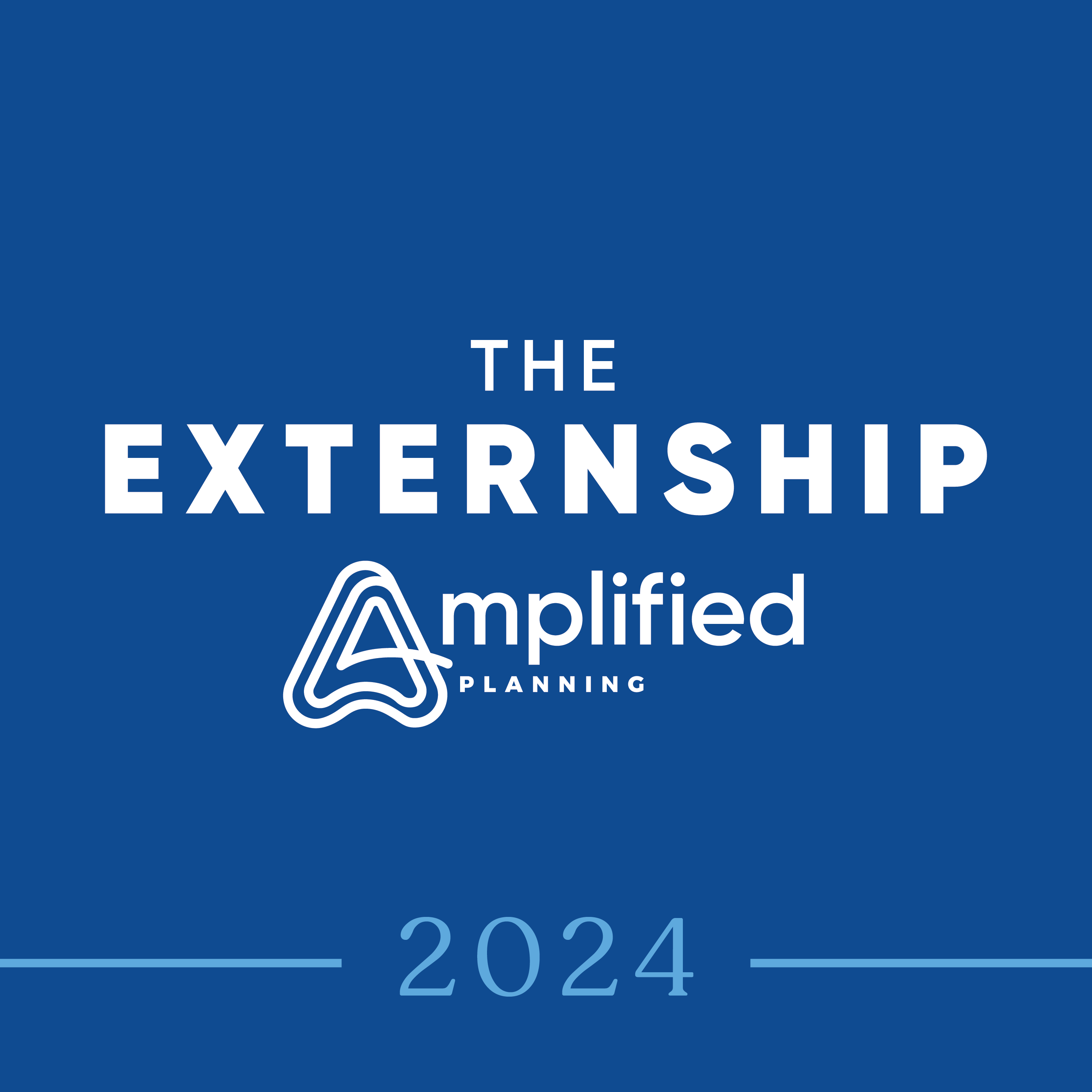The Externship (2024)
